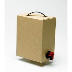 BIB 5 LITRES IGP COTES DE GASCOGNE L ECLAT D. DE JOY BIB 5 LITRES IGP COTES DE GASCOGNE L ECLAT D. DE JOY